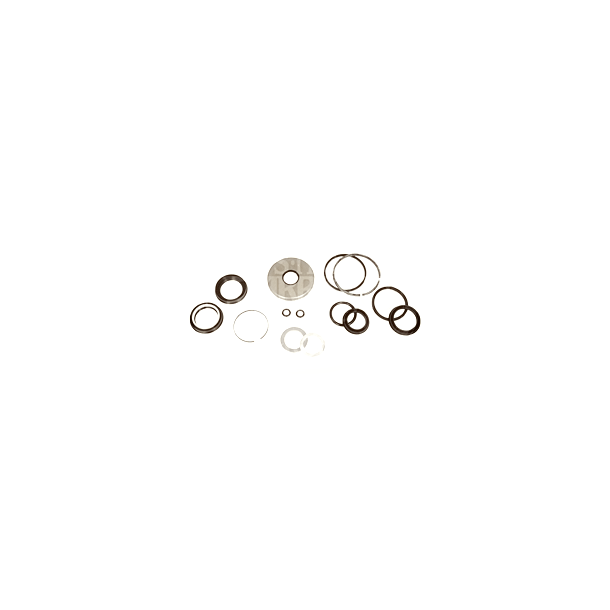 Steering Unit Seal/Repair Kit