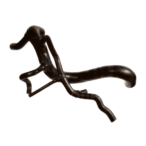 Radiator Bottom Hose