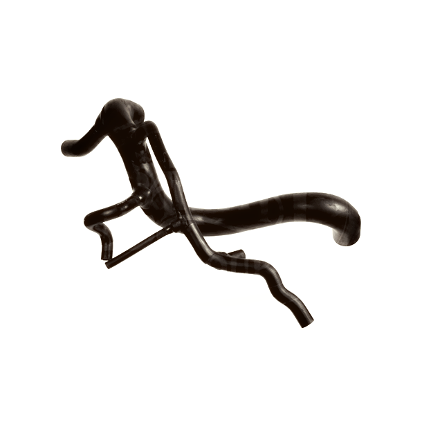 Radiator Bottom Hose
