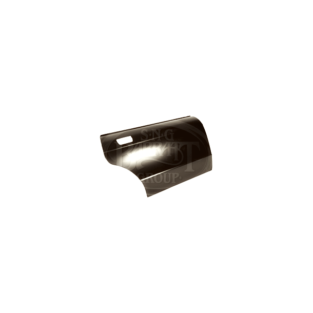 Rear Door Skin Panel RH